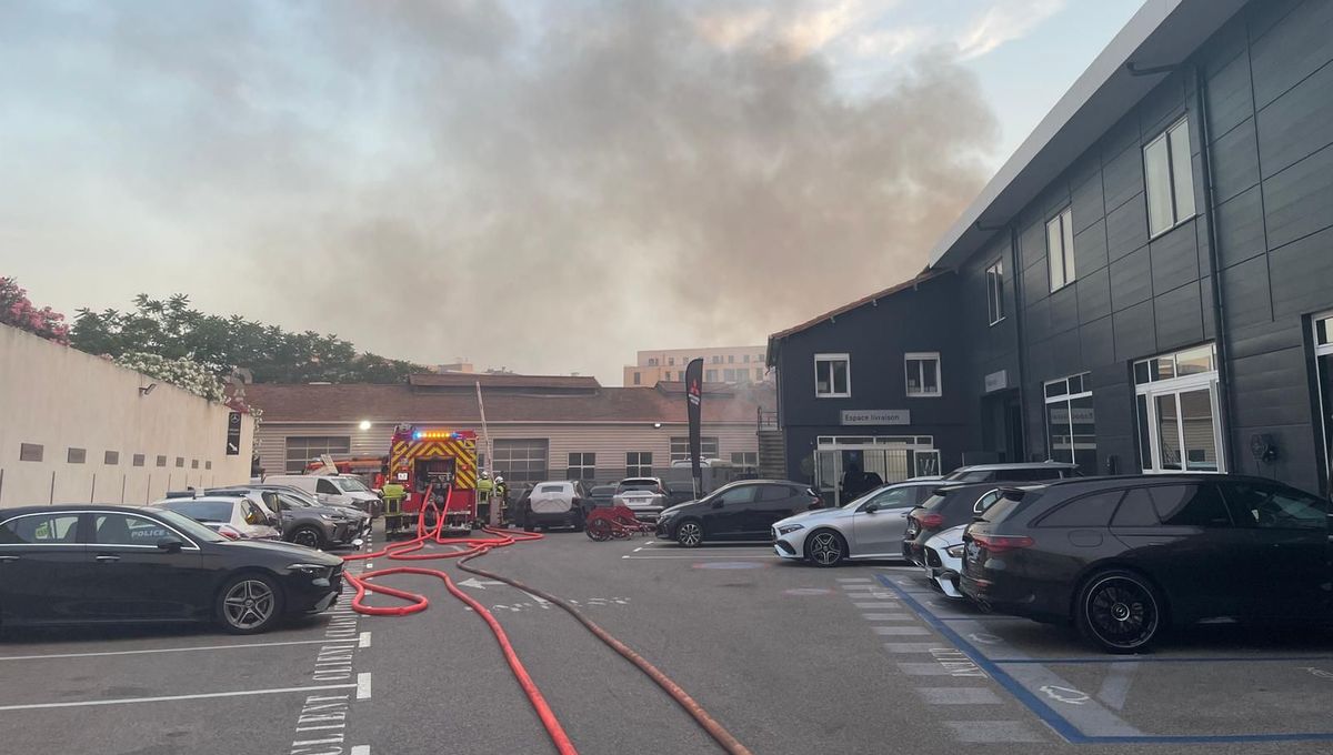 illustration agrandir l'image